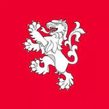 Daily Record Football APK icon